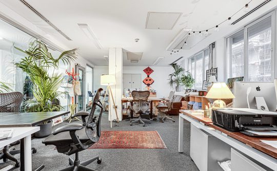 Modern office with desks, chairs, and computers. Green plants and string lights create a warm atmosphere. A red rug adds a touch of color.
